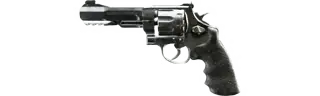 M357 TRAIT