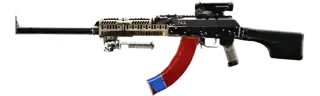 RPKM