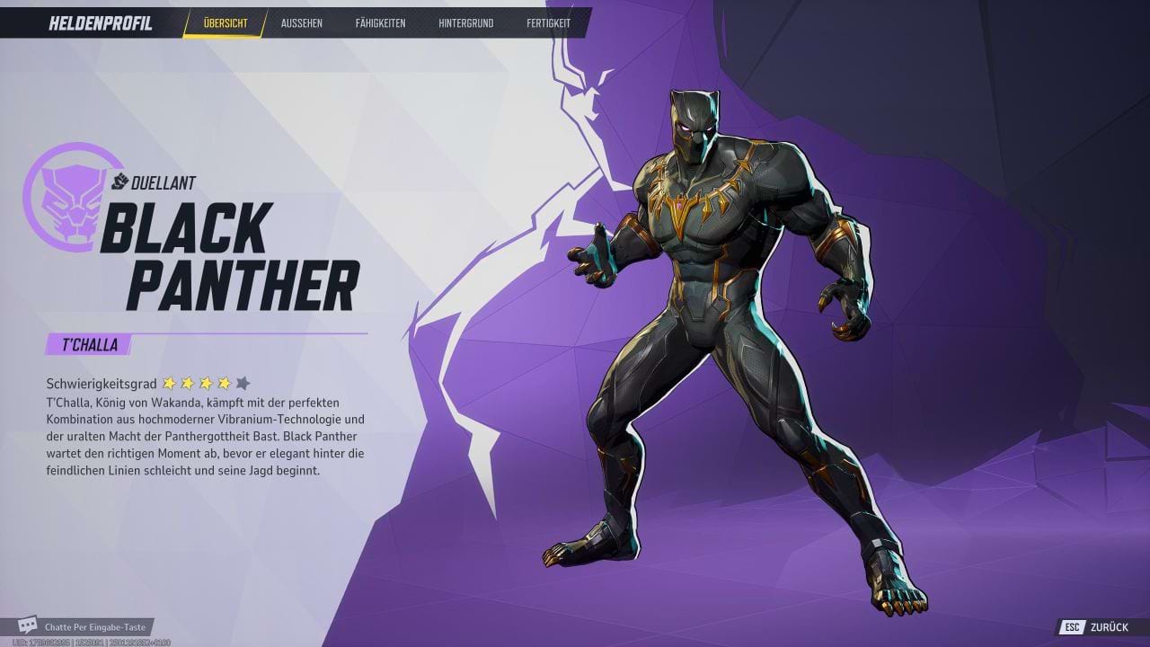 Marvel Rivals: Die 5 besten Teamkollegen für Black Panther
