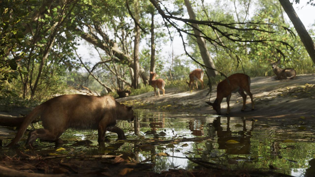 Grand Theft Auto VI: Mount Kalaga National Park: Ort in Leonida