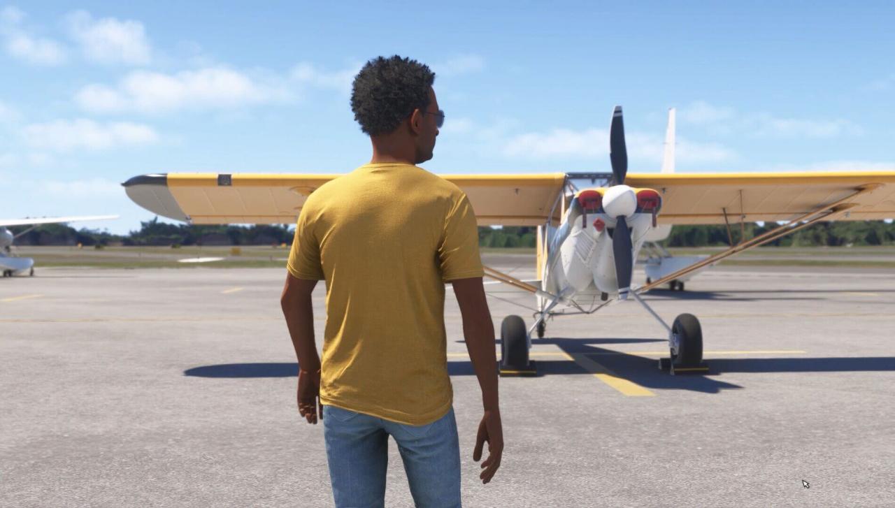 Microsoft Flight Simulator 2024: Patch 1.1.10.0 behebt weitere Probleme nach holprigem Start